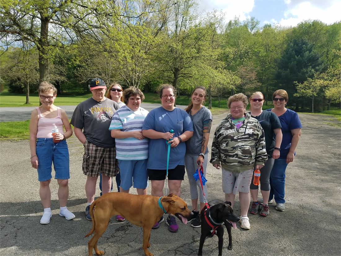 Individuals and Direct Support Professionals together on a group walk in a park on a spring day, with two dogs on leads